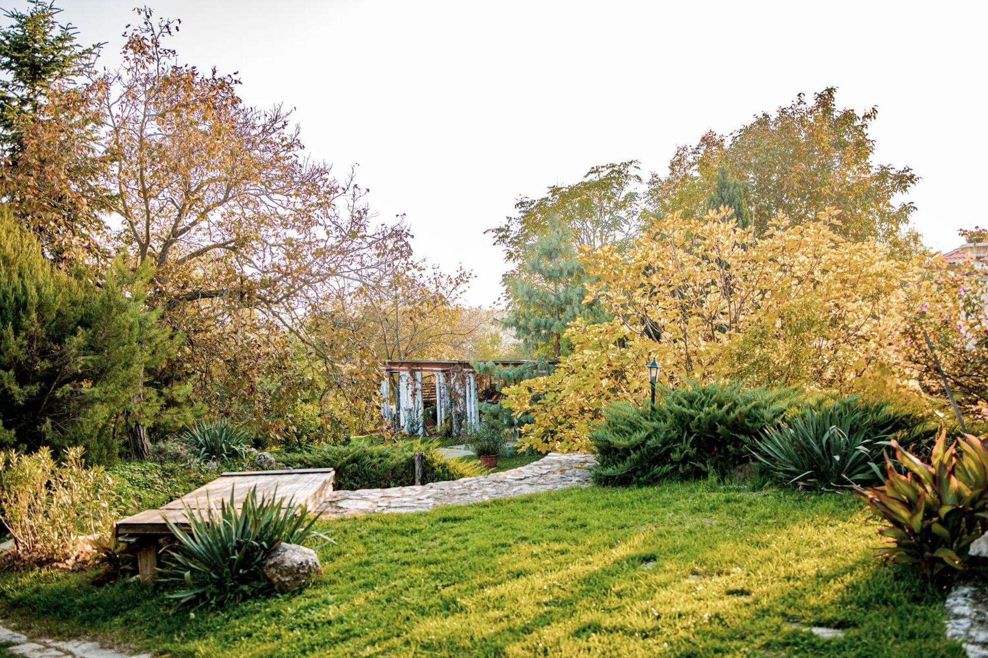 Kastello Villa Nagykozar ภายนอก รูปภาพ